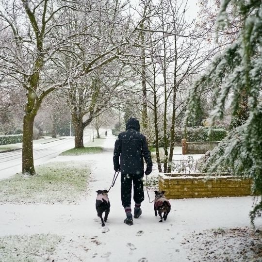 Man walking in snow with dog