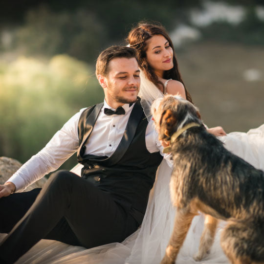 Including your dog on your wedding day