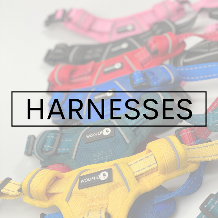 Harnesses