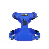Endurance Harness - Blue