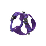 Endurance Harness - Purple