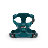 Endurance Harness - Deep Teal