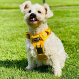 Endurance Harness - Mustard Yellow