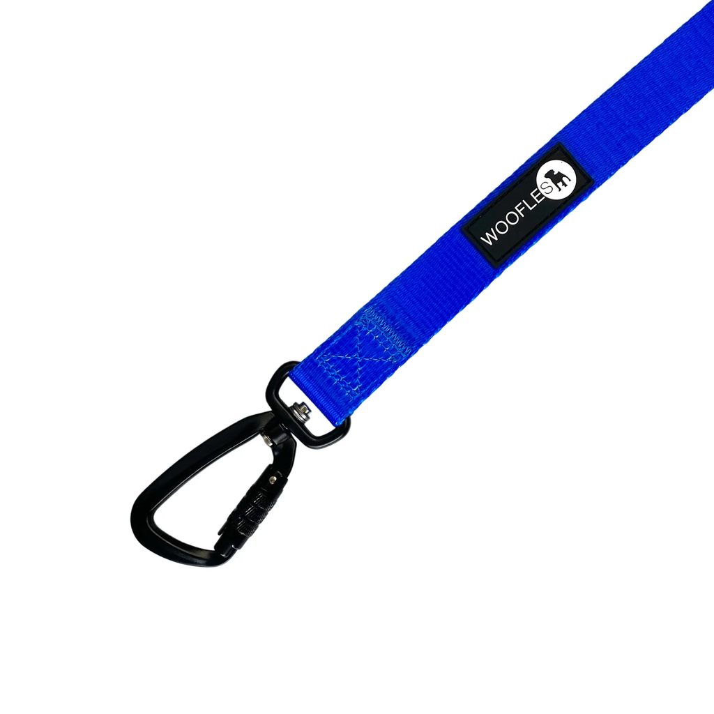 Maximum Comfort Carabiner Dog Lead - Blue