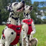 Endurance Harness - Red