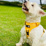 Endurance Harness - Mustard Yellow