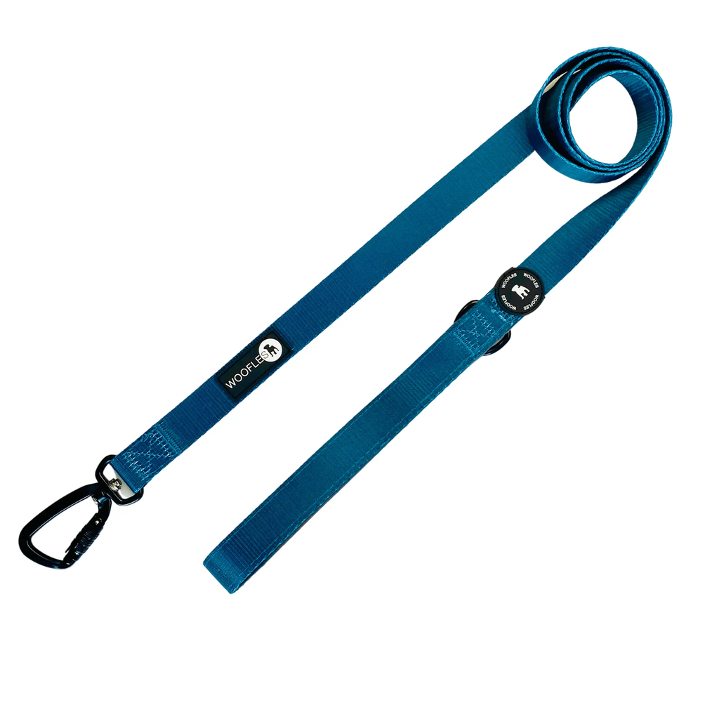 Lockable top dog lead