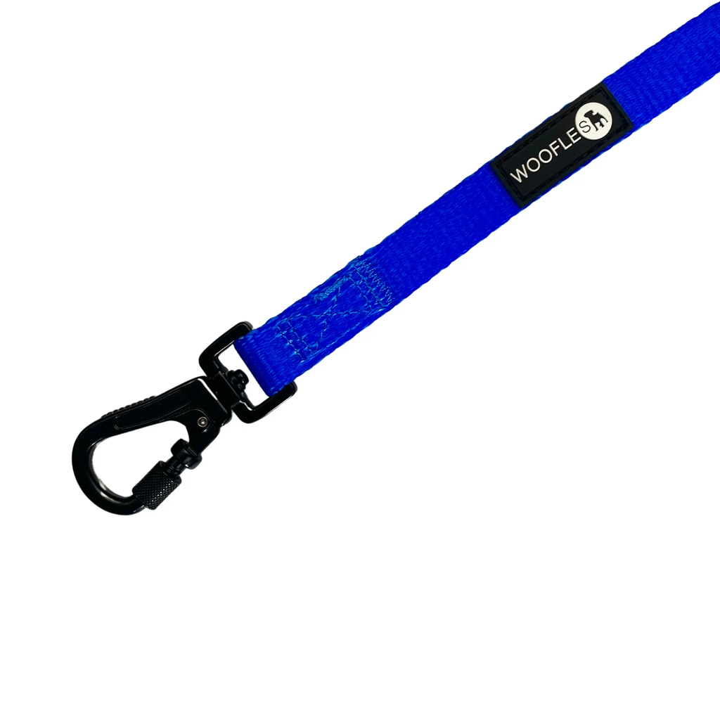 Maximum Comfort Carabiner Dog Lead - Blue