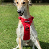 Endurance Harness - Red