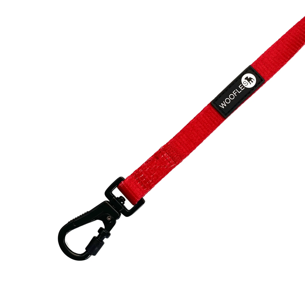 Maximum Comfort Carabiner Dog Lead - Red