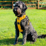 Endurance Harness - Mustard Yellow