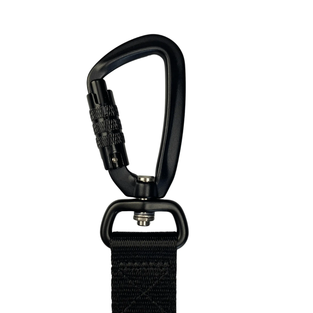 Locking dog leash outlet