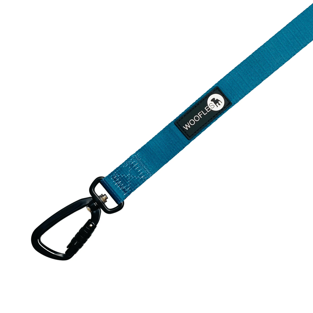 Teal lockable carabiner dog lead