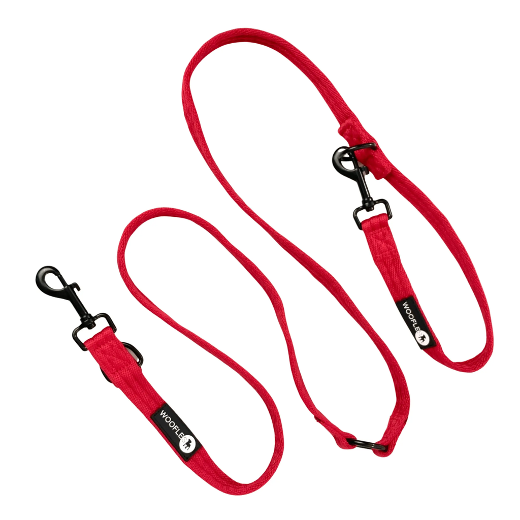 OneLead Red Double ended multi functional dog lead