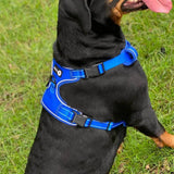 Endurance Harness - Blue