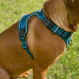 Endurance Harness - Deep Teal