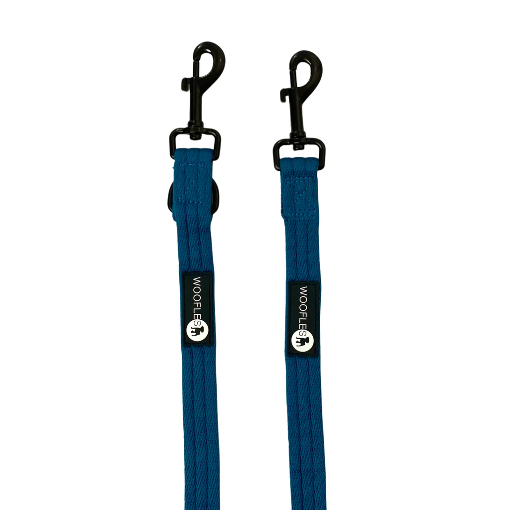 OneLead Teal Double ended multi functional dog lead