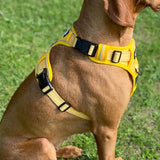 Endurance Harness - Mustard Yellow
