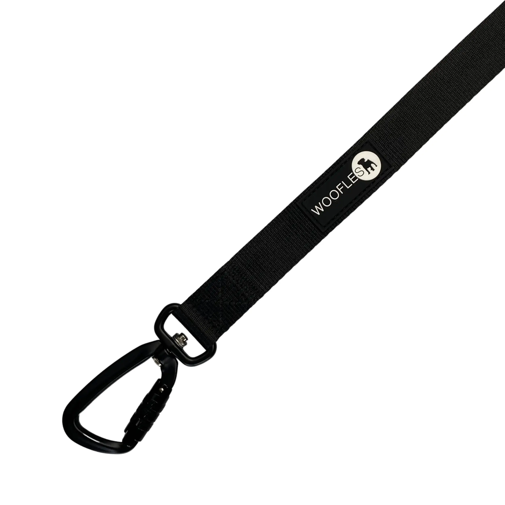 Locking dog leash cheap