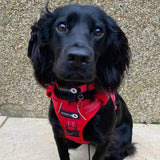 Endurance Harness - Red
