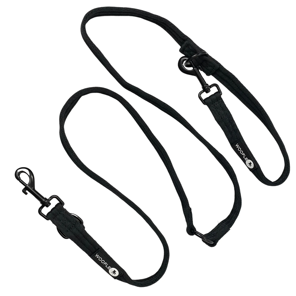 Black dog deals double ended lead