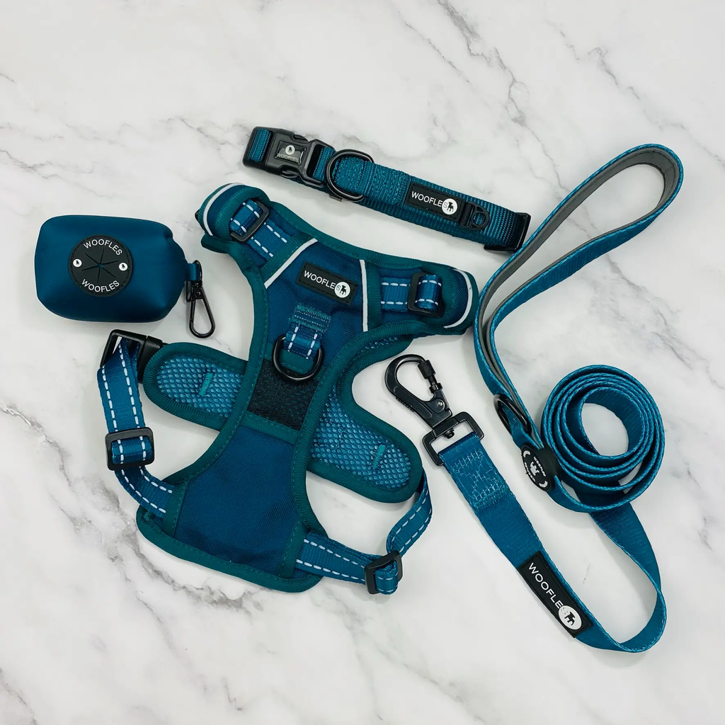 Lockable Maximum Comfort Carabiner Dog Lead in Deep Teal