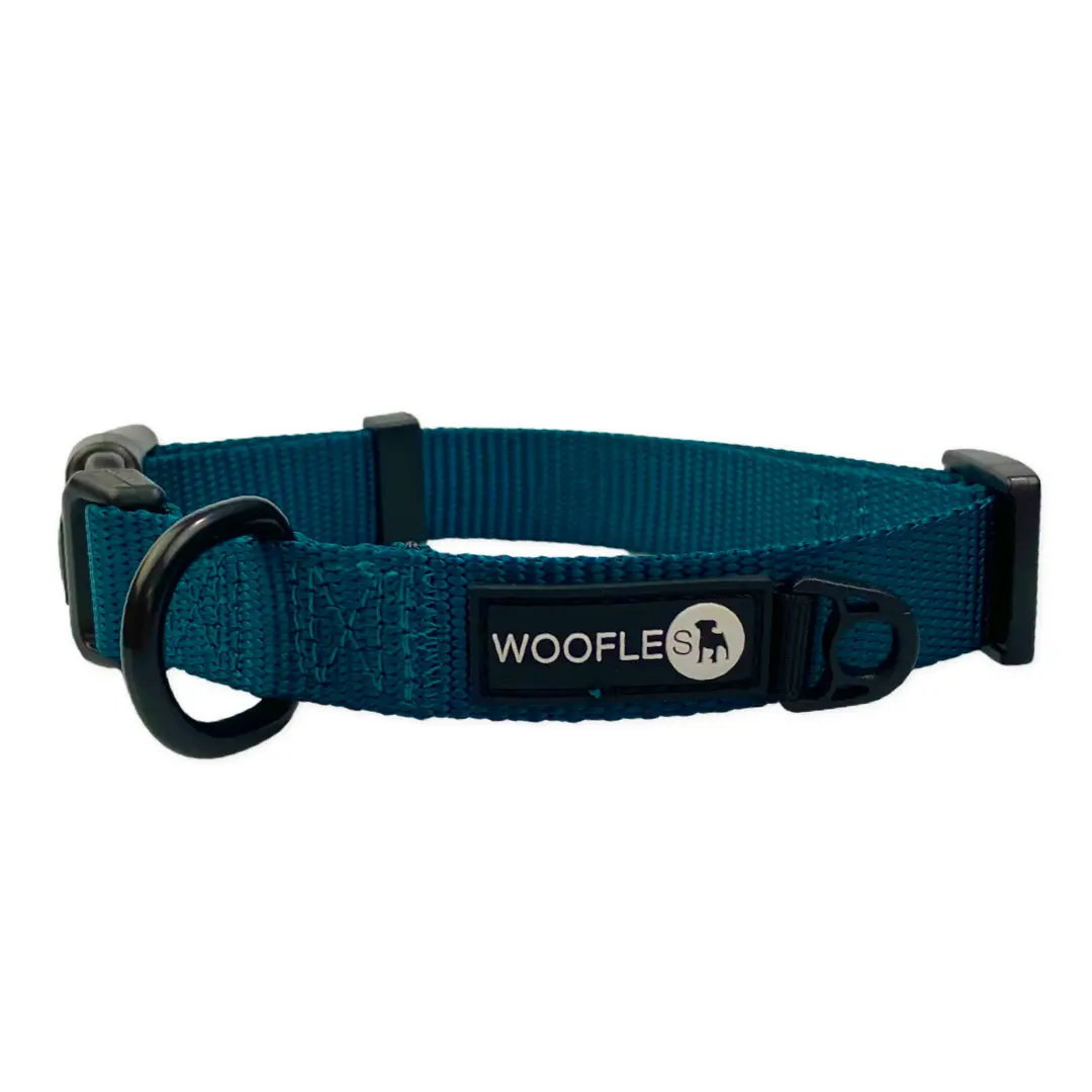Dark teal dog best sale collar