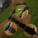 Features of the Dual AirMesh harness